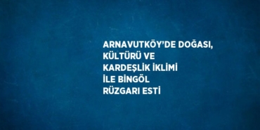22599318802108320013