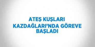 22600209942382120089tasarimli