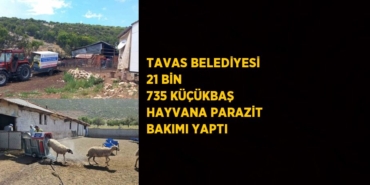 22613253362235131960