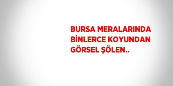 BURSA MERALARINDA BİNLERCE KOYUNDAN GÖRSEL ŞÖLEN..
