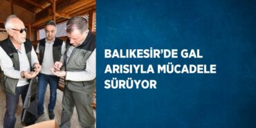 22616211652802429453