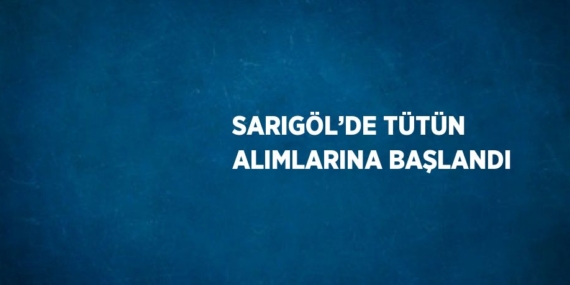 SARIGÖL’DE TÜTÜN ALIMLARINA BAŞLANDI