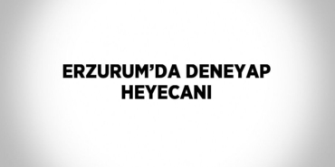 22638228522879020213tasarimli