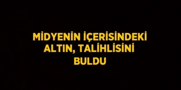 22639294772988320385tasarimli