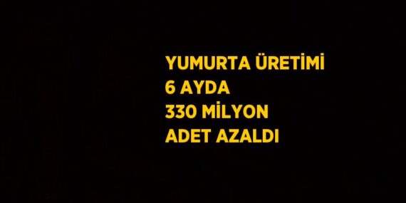 YUMURTA ÜRETİMİ 6 AYDA 330 MİLYON ADET AZALDI