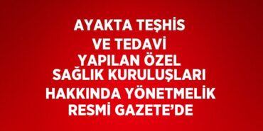 22650213602970724789tasarimli