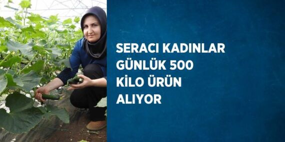 SERACI KADINLAR GÜNLÜK 500 KİLO ÜRÜN ALIYOR