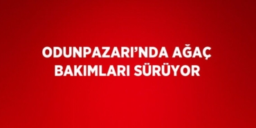 22660274772378527419tasarimli