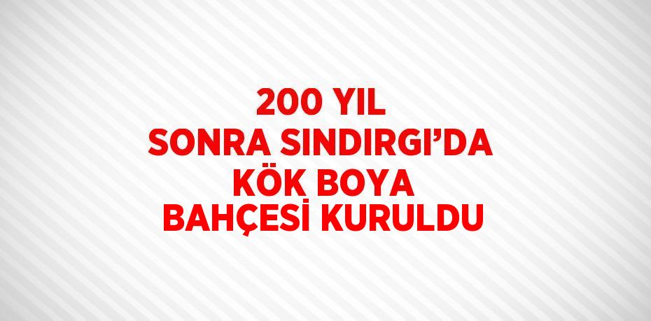 22679265992802631355tasarimli