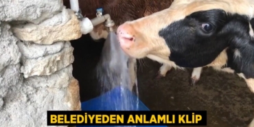 22682261292207720397