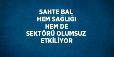 22683223182743924375tasarimli