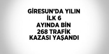 22684289382819030409tasarimli