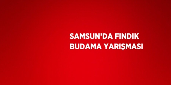 SAMSUN’DA FINDIK BUDAMA YARIŞMASI