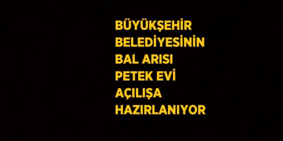 BÜYÜKŞEHİR BELEDİYESİNİN BAL ARISI PETEK EVİ AÇILIŞA HAZIRLANIYOR