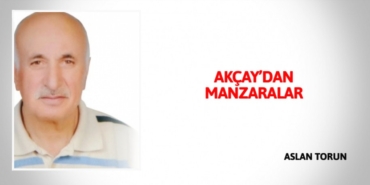 22704204402805227838