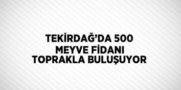 22709274622508326683tasarimli