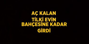 22713261292977528324tasarimli