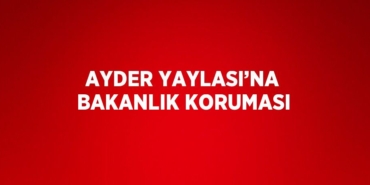 22713271082164422449tasarimli