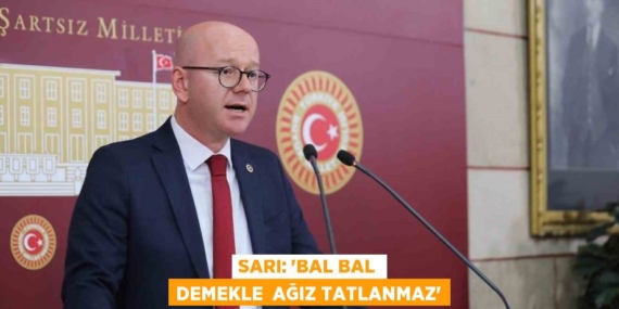 SARI: “BAL BAL DEMEKLE  AĞIZ TATLANMAZ”