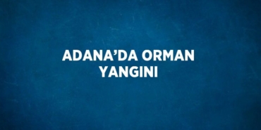 22720287972648830560tasarimli
