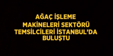 22732301222619929198tasarimli
