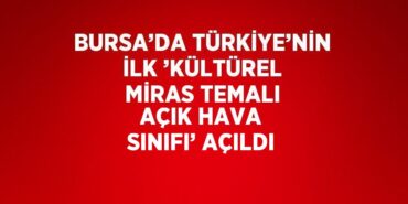 22733238763153826233tasarimli