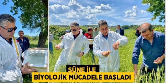 SÜNE İLE BİYOLOJİK MÜCADELE BAŞLADI