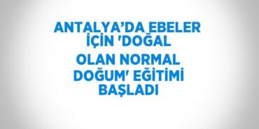 22734274832406528950tasarimli