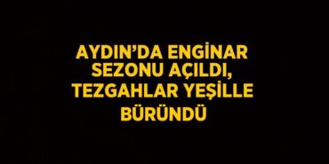 22747208712289226269tasarimli