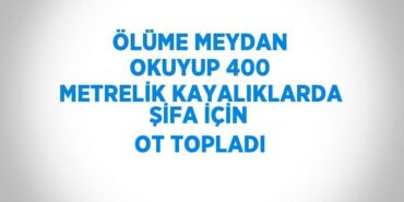 22752236112685530318tasarimli