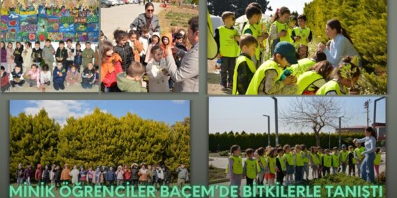 MİNİK ÖĞRENCİLER BAÇEM’DE BİTKİLERLE TANIŞTI