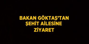 22766225593030131597tasarimli