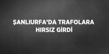 22768218402600026791tasarimli