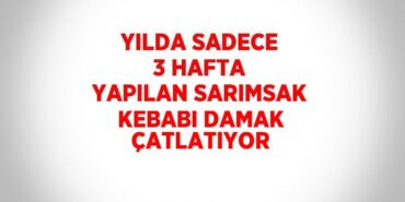 22769310522575125130tasarimli