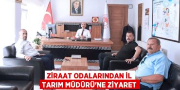 22770205962859031789tasarimli