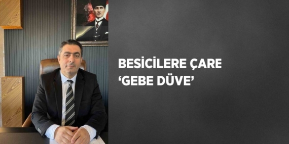 BESİCİLERE ÇARE ‘GEBE DÜVE’