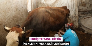 22778229583018925052tasarimli