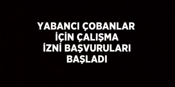 YABANCI ÇOBANLAR İÇİN ÇALIŞMA İZNİ BAŞVURULARI BAŞLADI