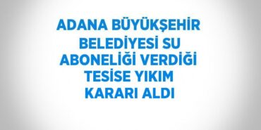 22785268782042927401tasarimli