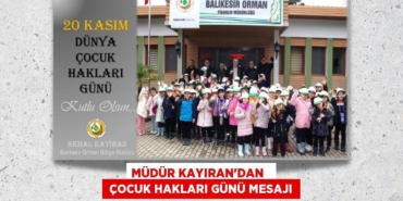 22790235082735224181tasarimli