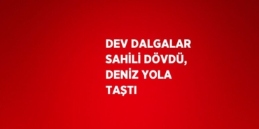 22792298362354624164