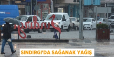 22798204132079122091