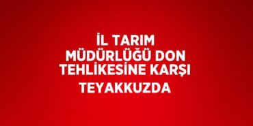 22799206813030329952tasarimli