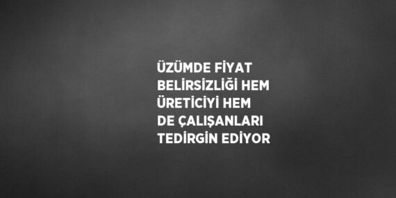 ÜZÜMDE FİYAT BELİRSİZLİĞİ HEM ÜRETİCİYİ HEM DE ÇALIŞANLARI TEDİRGİN EDİYOR