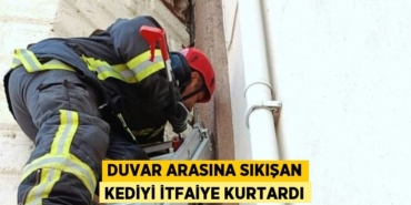 22799239123161221888tasarimli