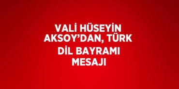 22805232752374129700tasarimli