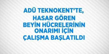 22810256682333925620tasarimli