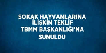 22816279373059327149tasarimli