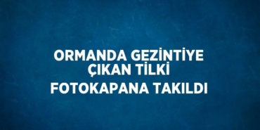 22818288512702626086tasarimli