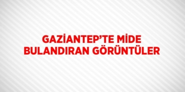 22819210552562523358tasarimli